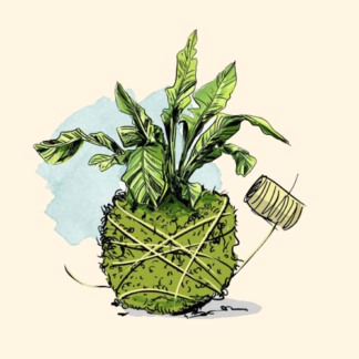 Kokedama base